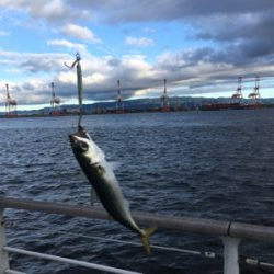 安定の鯖祭り。。。