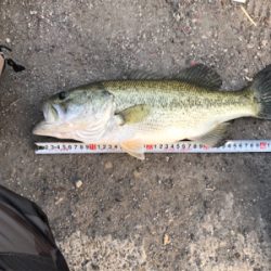 津風呂湖にてvo3