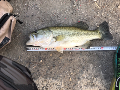 津風呂湖にてvo3