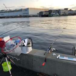 太刀魚釣り失敗だ!