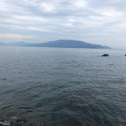 なんとかボウズ回避