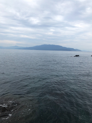 なんとかボウズ回避