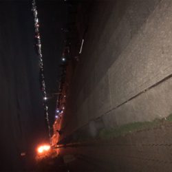 湾奥でもタチウオ確認