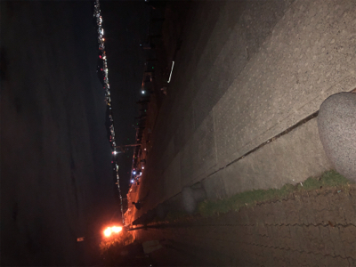 湾奥でもタチウオ確認