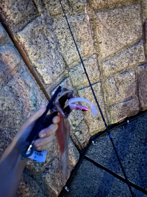 爆風の中の一本