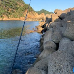 連休初日エギング