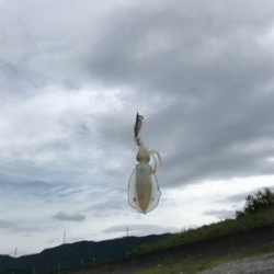 サーフエギング