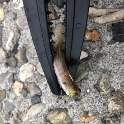 エソエソエソエソ