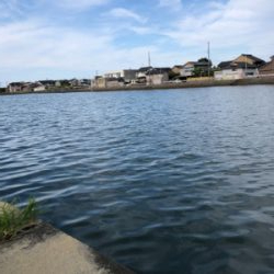 1年ぶりのハゼ釣り