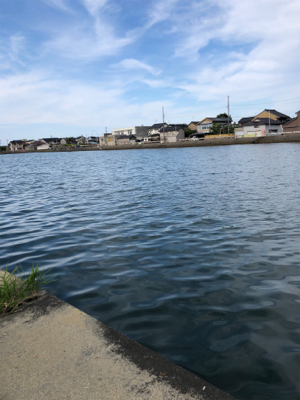 1年ぶりのハゼ釣り