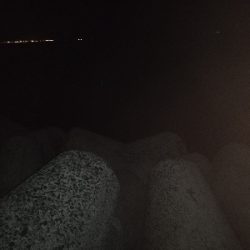 久々に太刀魚に会えました。