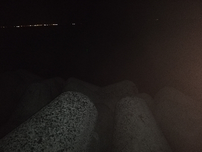 久々に太刀魚に会えました。