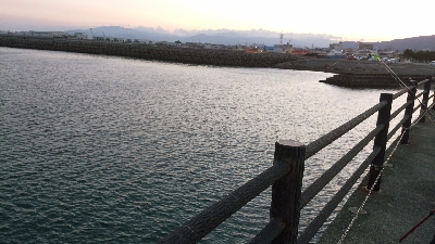 五色浜で、カサゴ、アナゴ、ゴンズイ、サメ、タイ