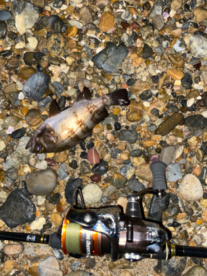 アタリはあるけど