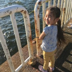 ちょっと難しいサビキ釣り