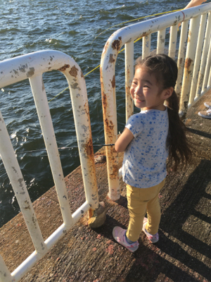 ちょっと難しいサビキ釣り