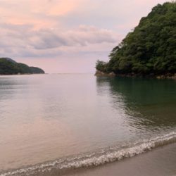 アオリイカを求めて