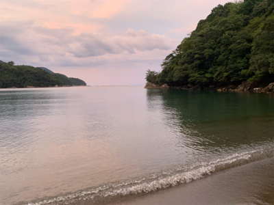 アオリイカを求めて