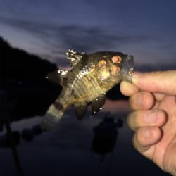 今日は子供会の日?