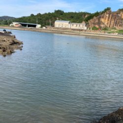 昼間の満潮から下げは難しい