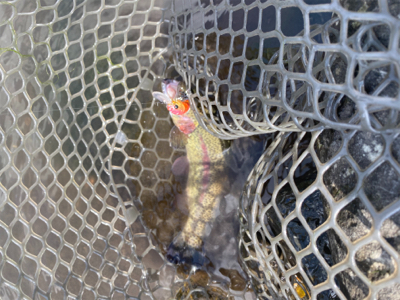 川場キングダムフィッシング