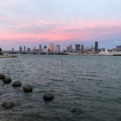 10年ぶりのハゼ釣り