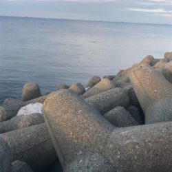 厳しいエギング(><)