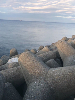 厳しいエギング(><)