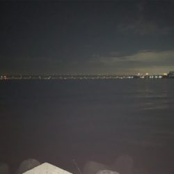 アジング始めました! こりゃおもろいわ!