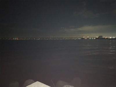 アジング始めました! こりゃおもろいわ!