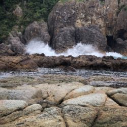 サイズのいい根魚かと思うアタリから