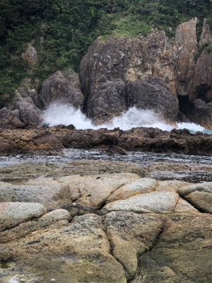 サイズのいい根魚かと思うアタリから