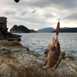 尾鷲ロックフィッシュ