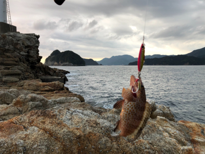 尾鷲ロックフィッシュ