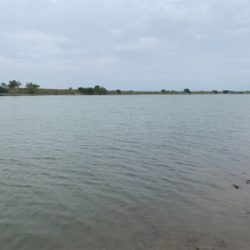 シーバス調査釣行