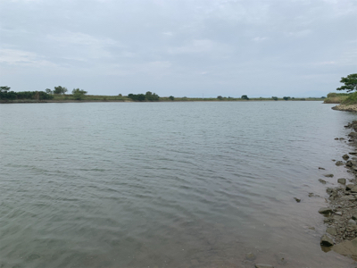 シーバス調査釣行