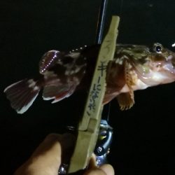 アジング練習 192