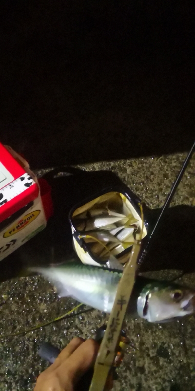 アジング練習 193