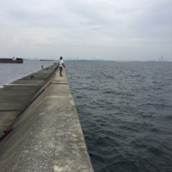 禁断の平日釣行…タチウオ不発も…メジロ、サゴシ