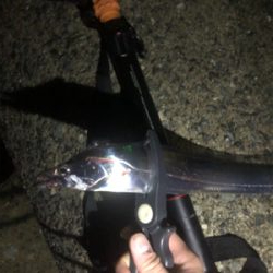 今季　初お目見え