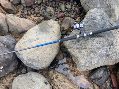 ショアジギングで、まさかの本チヌ釣れました！！