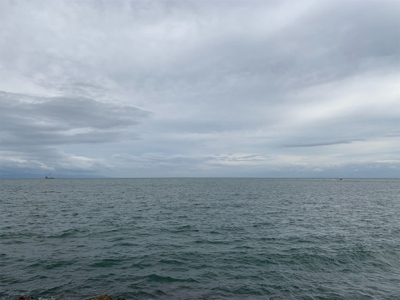 ショアジギング