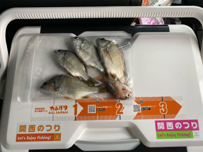 太刀魚釣り、サビキ釣り、投げ釣り