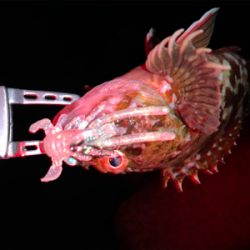 仕事帰りロック！