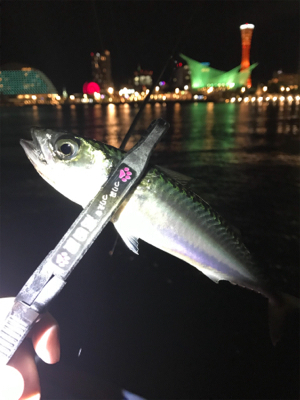 ワイワイアジング