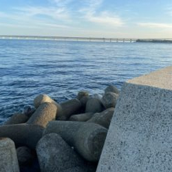 久しぶりの投稿