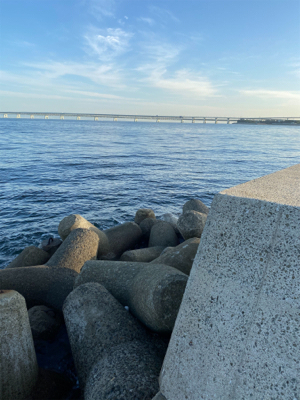 久しぶりの投稿