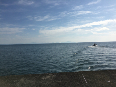 逃した魚はデカイ？！