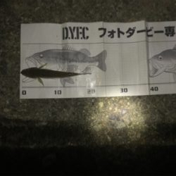 ハゼ釣り遠征