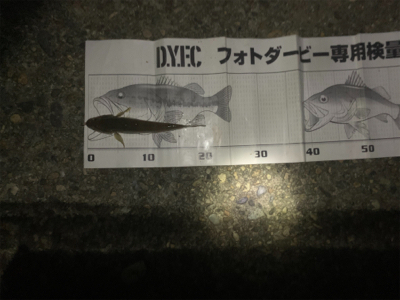 ハゼ釣り遠征